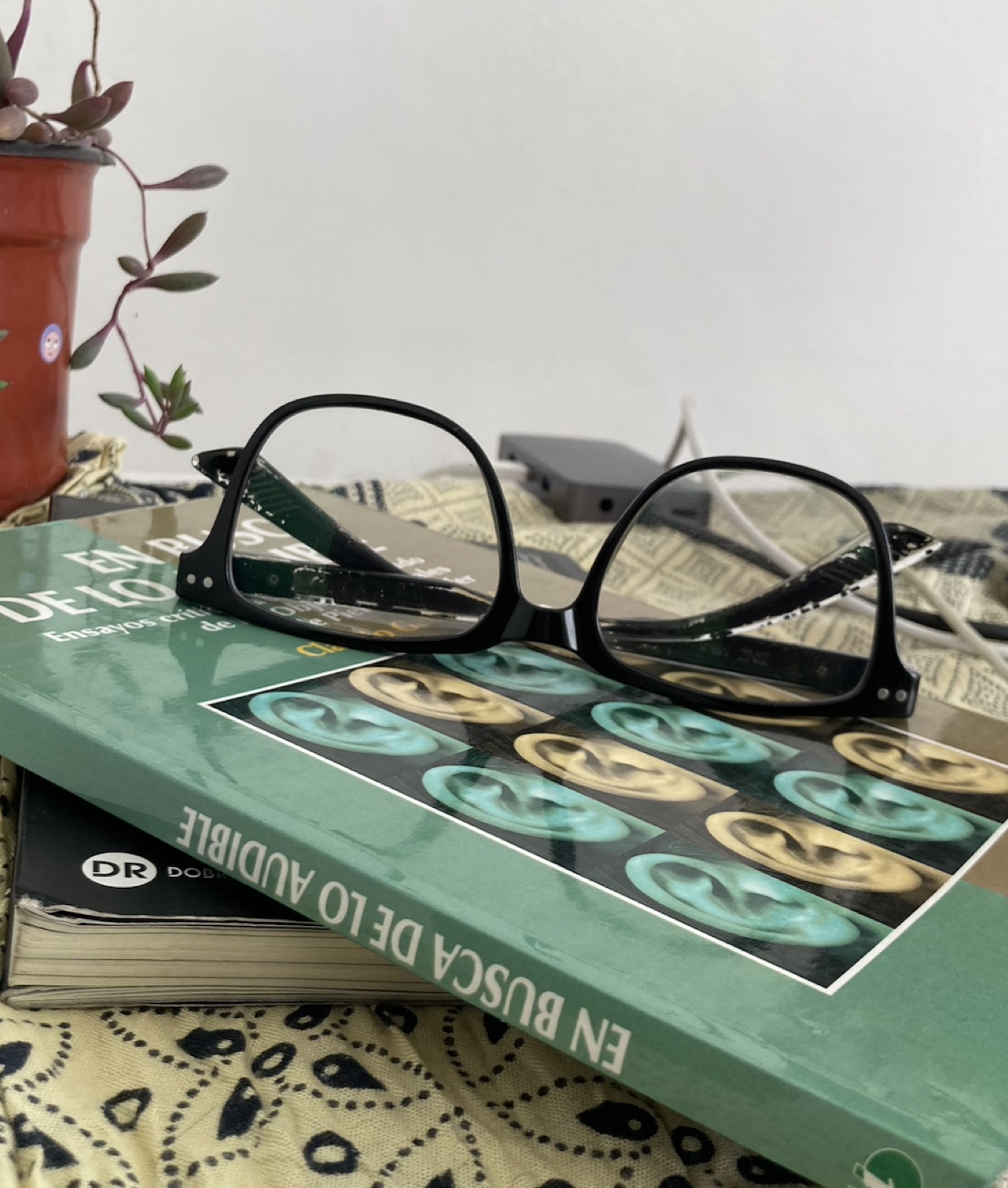 Anteojos apoyados sobre el libro En busca de lo audible, junto a una planta
