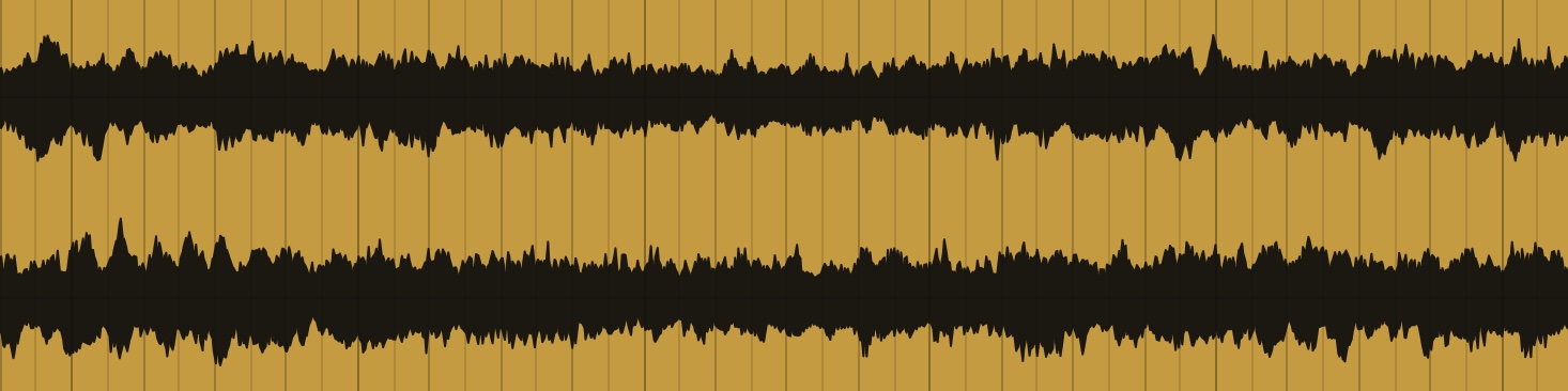 Waveform de una grabación de campo del taller